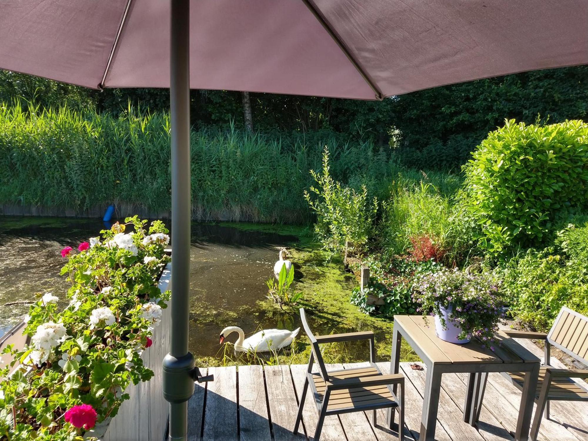 Het Waterhoentje Sint Jansklooster Exteriör bild